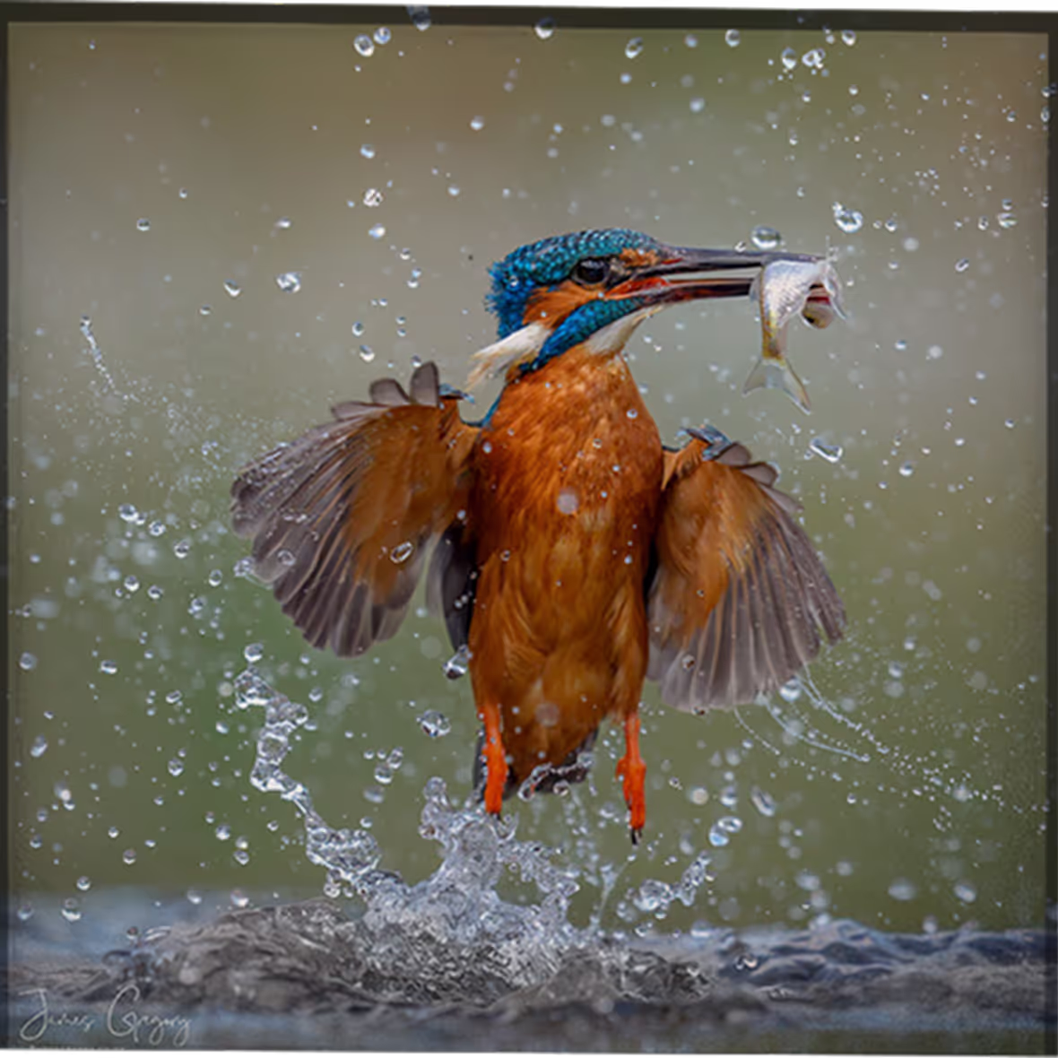 Photo by James Gregory